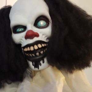 Divinng shell special  tor Tina D